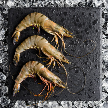 Fresh tiger shrimp on ice on a black stone table top view
