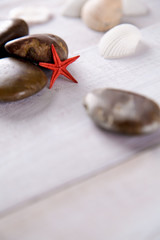 Fototapeta na wymiar Plenty of stones and shells on the beach