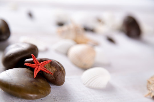 Plenty of stones and shells on the beach