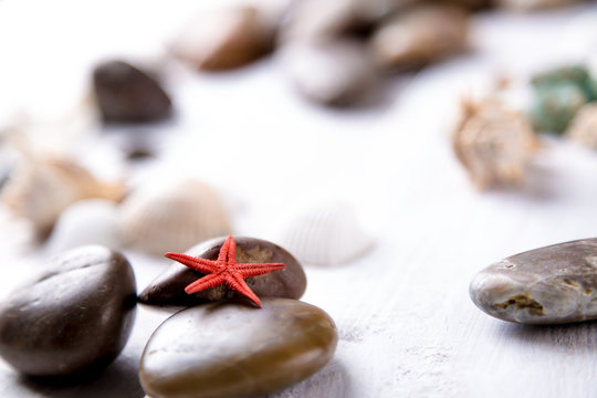 Plenty of stones and shells on the beach
