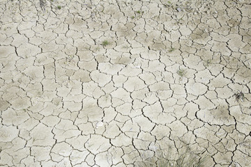 Arid land
