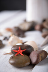 Starfish and shells on the beach
