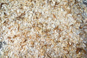 Wood Sawdust Texture Background