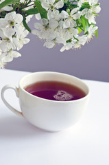 tea with cherry flowers and branches on white table, top view