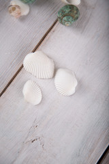 Fresh and pure seaside concept