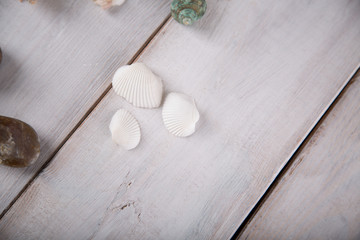 Fresh and pure seaside concept