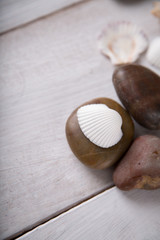 Fresh and pure seaside concept