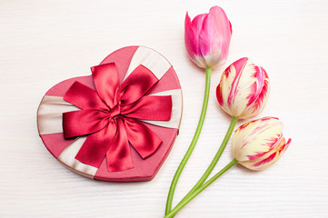 Tulips and gift box on a white background