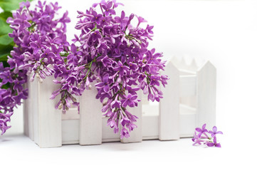 Beautiful spring lilac and a small fence on the white background