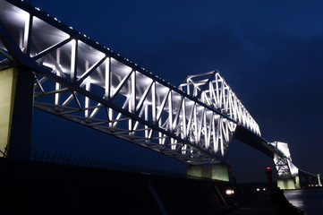 Tokyo Gate Bridge