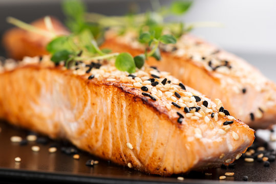 Grilled salmon on black plate shallow DOF