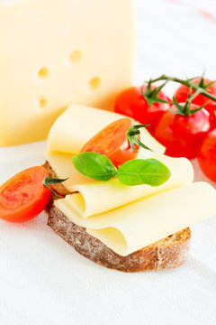 Cheese sandwich with fresh tomato and basil vertical