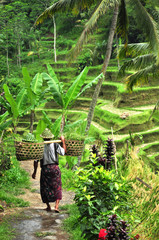 Bali worker