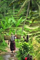 Fotobehang Balie werker © hnphotography