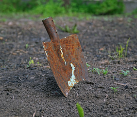 old rusty shovel in the ground