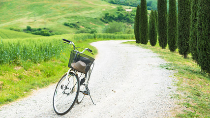 Fototapeta premium Cycling trip in the spring landscape of Tuscany.