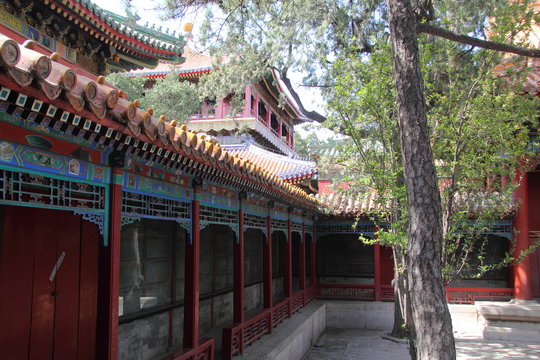 Chinese garden in the Forbidden City (Beijing,China)