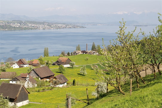 Wädenswil-Bilder: Stock-Fotos & -Videos. | Adobe Stock