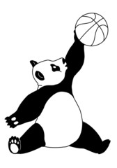 Pandaccanestro