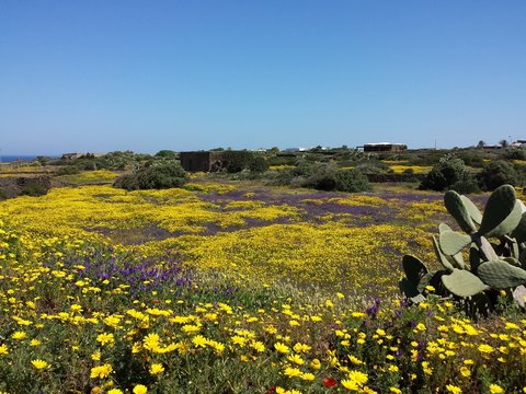 Un tocco di colore