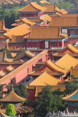 Roofs of the Forbidden city (Beijing,China)