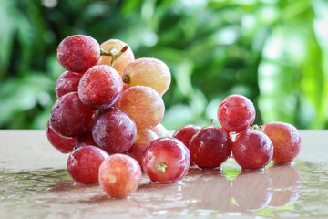 Grapes over vineyard background