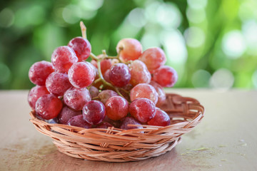 Grapes over vineyard background