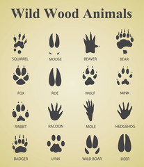 Fototapeta premium set of wild wood animal tracks