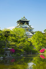 Naklejka premium 新緑の大阪城