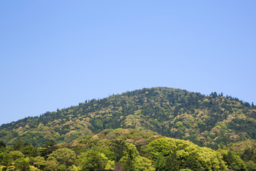 Fototapeta na wymiar 新緑の奈良県三輪山