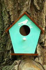 Decorative nesting box on branch, on green background