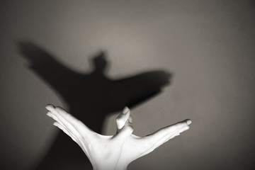 Hands gesture like dove on gray background - Powered by Adobe