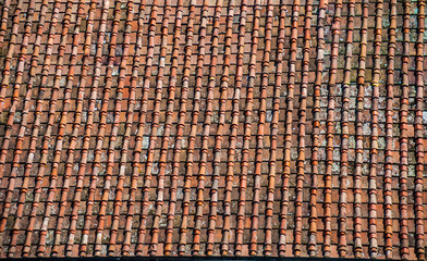 Old tiled roofs in italy