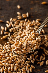 Raw Organic Spelt Grain