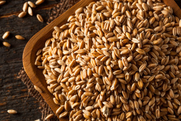 Raw Organic Spelt Grain