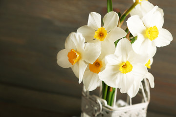 Fresh narcissus in decorative cage on wooden background