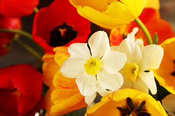 Obraz na płótnie Canvas Beautiful bouquet of tulips and narcissus, closeup