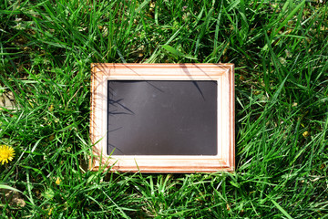 Photo frame over green bush background