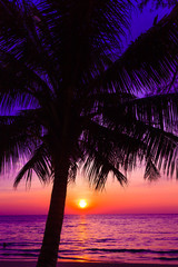 Obraz na płótnie Canvas Beautiful sunset. Sunset over the ocean with tropical palm tree