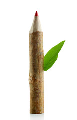 Wooden pencil with leaf isolated on white
