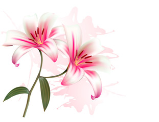 Flower Background With Two Beautiful Lilies. Vector.