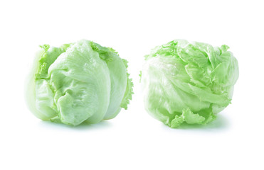 Green Iceberg lettuce on White Background