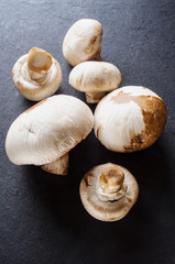 Fresh mushrooms on a black board