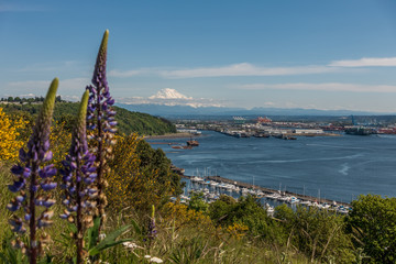 Majestic Mount Rainier overlooks the Port of Tacoma.