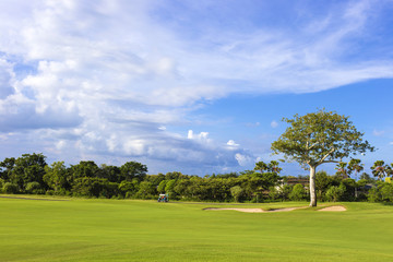 Beautiful View of Green Golf Field