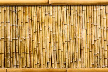 bamboo background