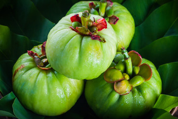 Garcinia is thai herb (south of Thai) and sour flavor. Low key.