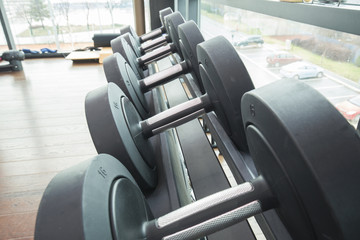 Dumbbell rack in a gym