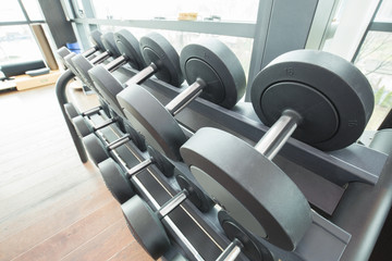 Dumbbell rack in a gym
