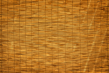 Obraz premium bamboo texture with natural patterns